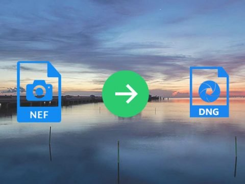 convert dng to nef